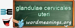 WordMeaning blackboard for glandulae cervicales uteri